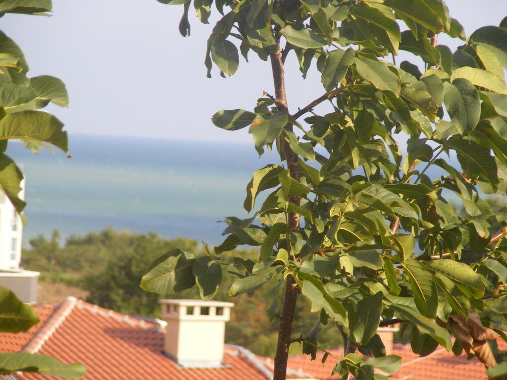 Guest House "Zora - Sarafovo" Burgas Esterno foto